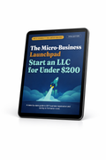 The Micro-Business Launchpad: Start a Ltd Company for Under £200